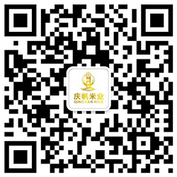 公司手機(jī)站